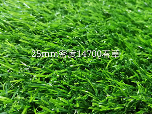 Heineken紙牌 撲克 喜力啤酒 63x88mm